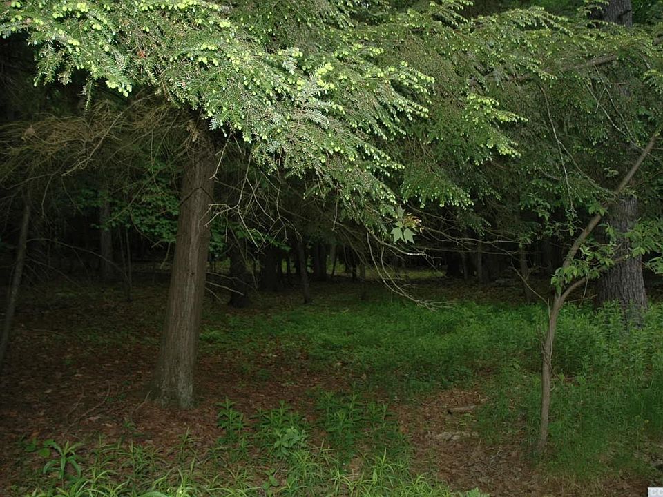 2nd image of 0 Crystal Point Road