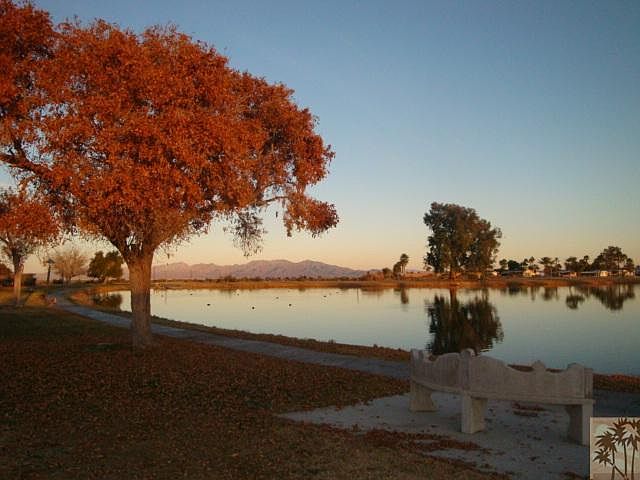 Lake Tamarisk