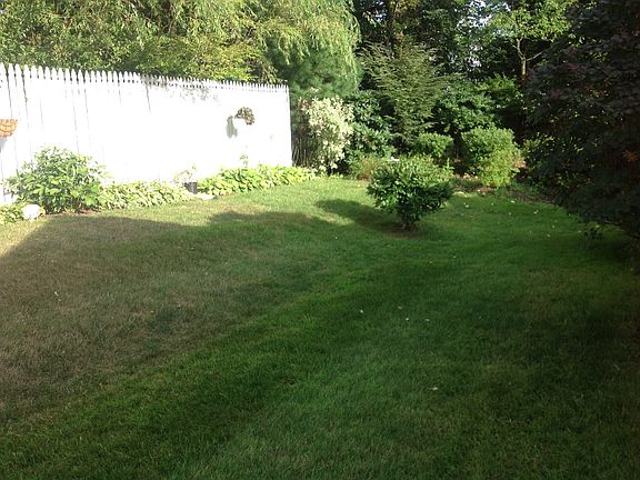Fenced Back Yard