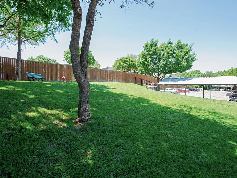 Grapevine 2499 — Photo 29