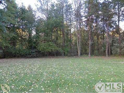 Back Yard.JPG