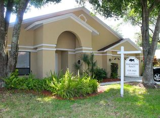 18322 Cypress View Way, Tampa, FL 33647