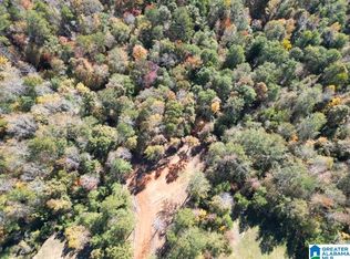 1 Brant Ward Rd #1, Cottondale, AL 35453