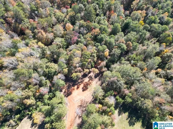 1 Brant Ward Rd #1, Cottondale, AL 35453