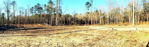 4th image of 0 Lee Road 595