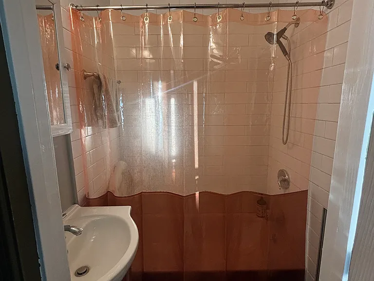 Bathroom 1- downstairs