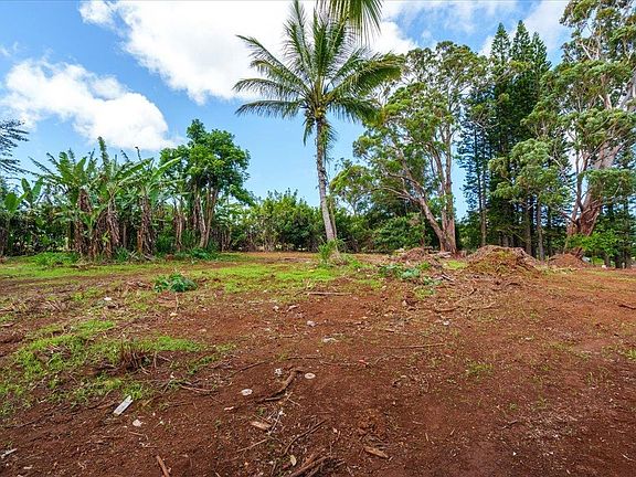 5th image of 2175 Kauhikoa Rd #7