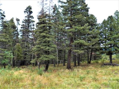 W Spanish Peaks Dr UNIT 5, Aguilar, CO, 81020