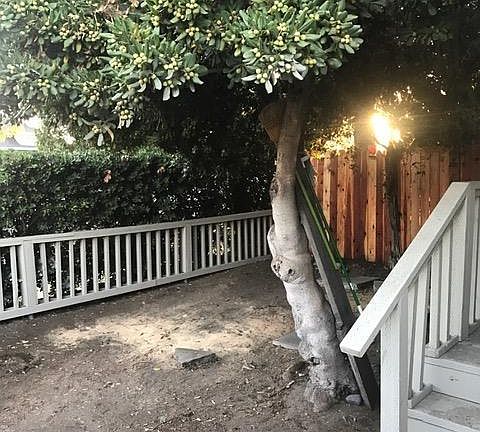 Front Yard