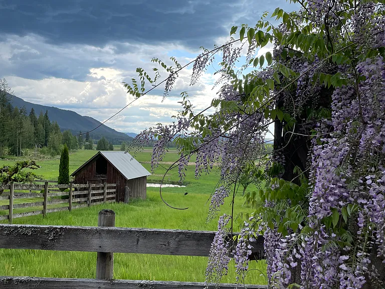 view from your trellis