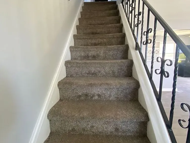 51 Peacock Ln — Photo 14