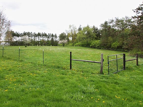 Fenced in pastures for your horses or farm animals