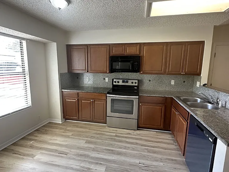 4790 Cinnamon Fern Dr — Photo 3