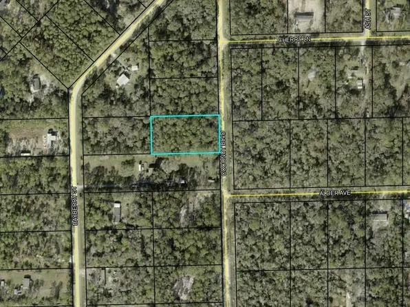1298 Coconut Boulevard, Bunnell, FL 32110
