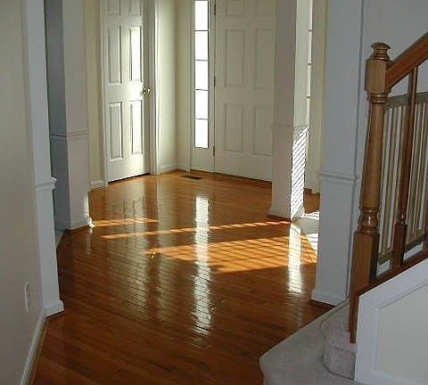 Open Light Filled Foyer w/Hardwood Floors