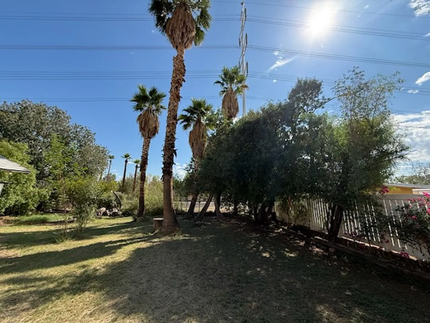 Modern Comfort in the Heart of Tempe — Photo 2