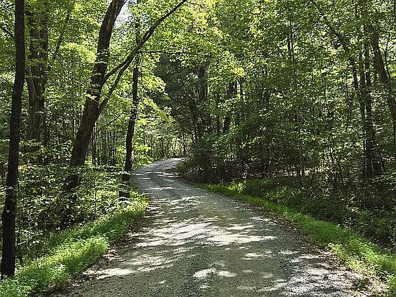 4th image of Natures Way