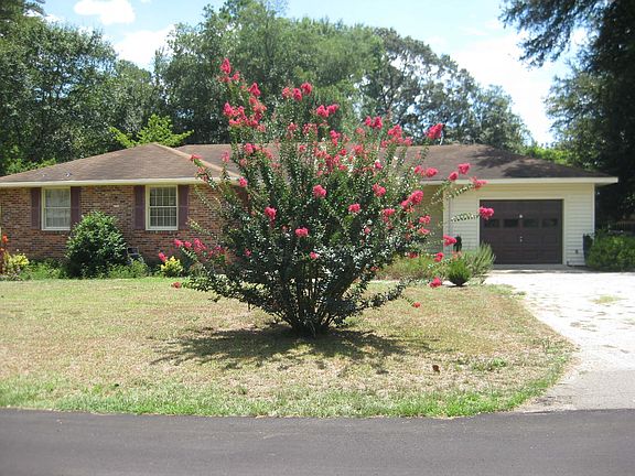 Crape myrtle