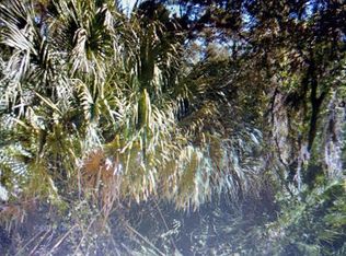 17389 Iago Ave, Port Charlotte, FL 33954