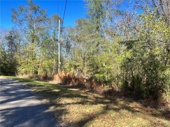0 Jennings Ferry Rd, Akron, AL 35441