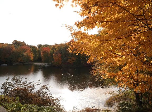 River view from kitchen