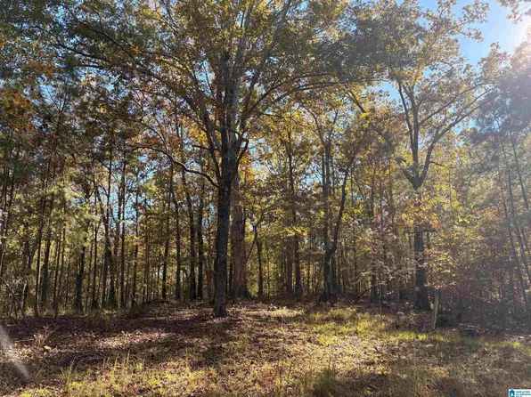 4584 Cabin Rd #9, Bessemer, AL 35022