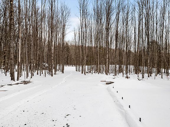 3rd image of 100 Monkey Run Rd