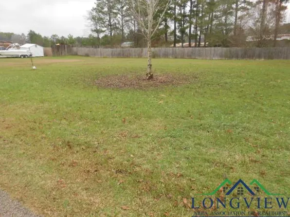 County Road 307 #D, Henderson, TX 75654