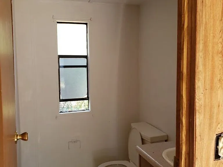539 Coconut Ct — Photo 6