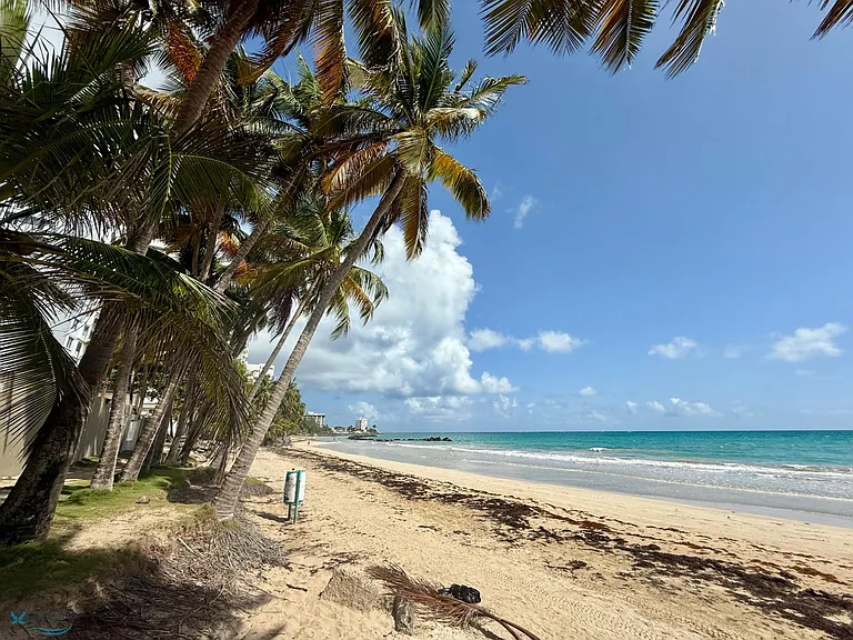 3715 Avenue Isla Verde #5G — Photo 11