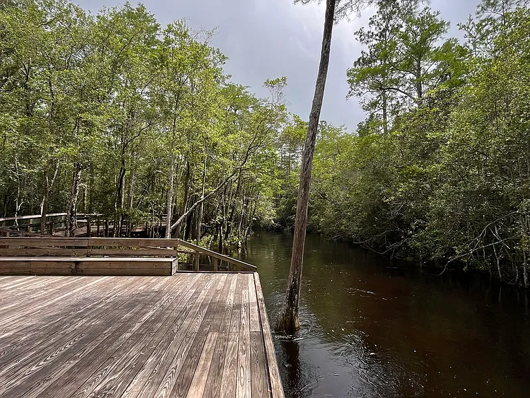 Turkey Creek