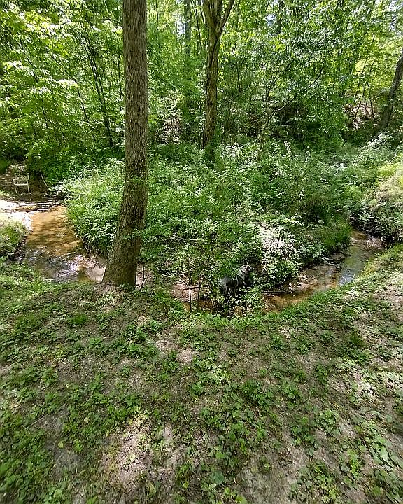 2nd image of 1008 Fairview Farm Cir