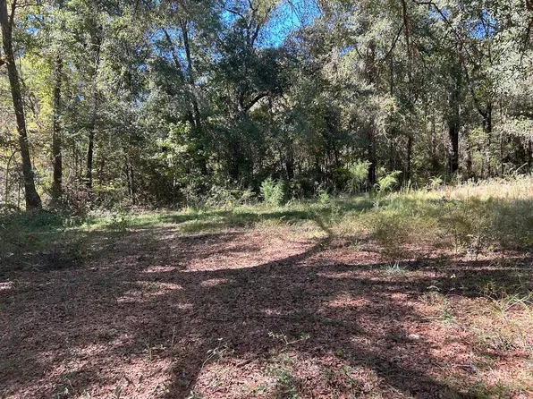 1594 Blue Creek Rd, Ponce De Leon, FL 32455