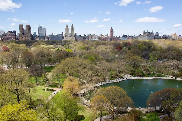 Sold by Douglas Elliman | media 56