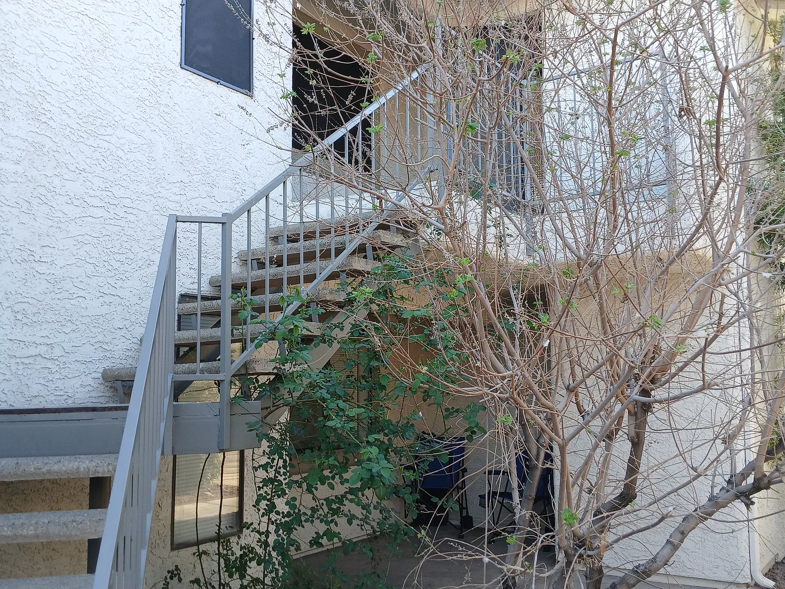 2 bed, 1120 sqft, $1,649 — Photo 2
