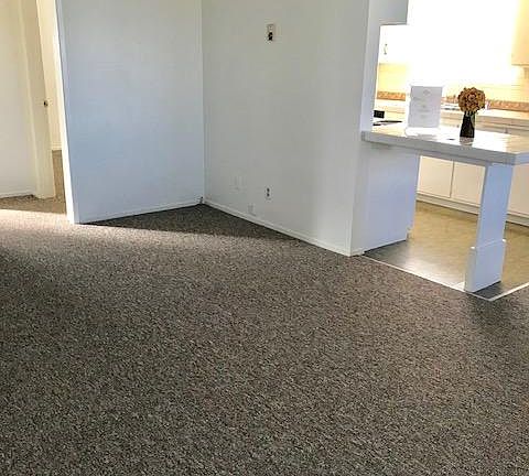 Large Living Room/Dining Room