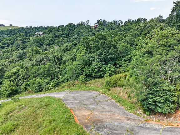 4th image of 0 Turtle Ln