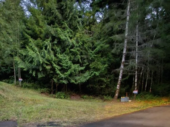 525 E Timber Tides Drive, Union, WA 98592