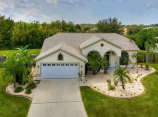 11801 Tall Elm Ct, Riverview, FL 33569