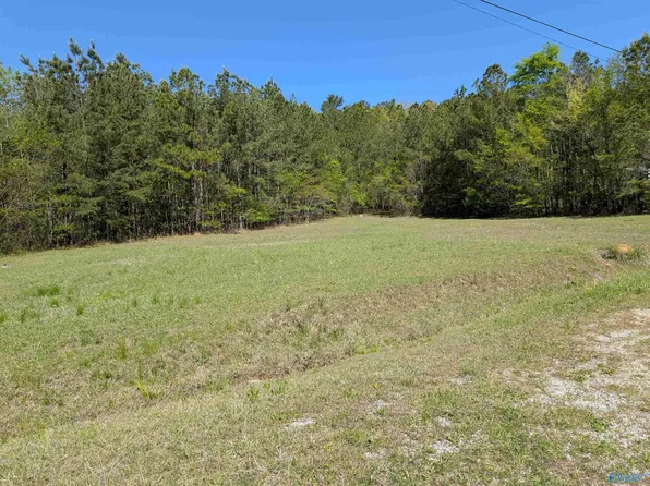 409 Oak St, Glencoe, AL 35905