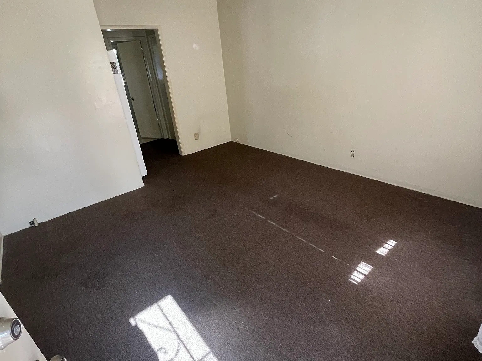 1 bed, 800 sqft, $2,200 — Photo 2