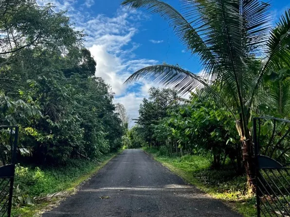 Kapoho Kalapana Rd Lot 1-G, Pahoa, HI 96778