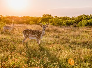 2055 County Road 172 Rd, Burkett, TX 76828