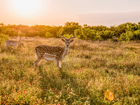 2055 County Road 172 Rd, Burkett, TX 76828