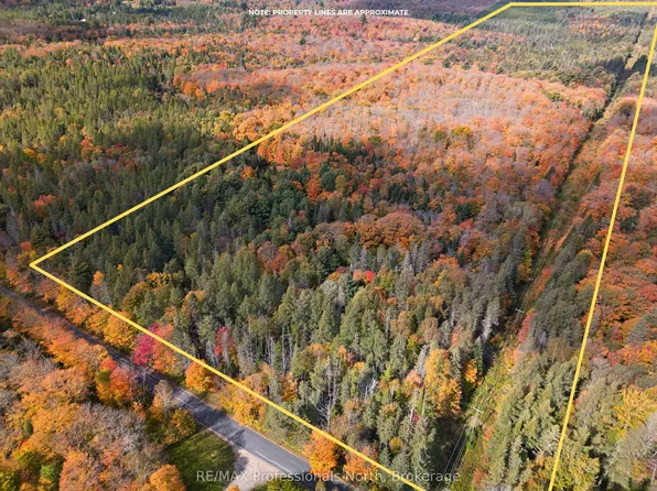 276 Fern Glen Rd, Perry, ON P0A 1J0