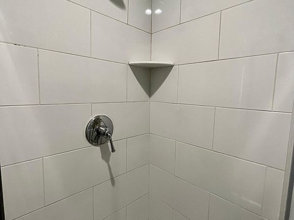 bathroom 2 with shower