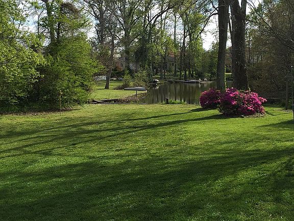 Backyard Spring view