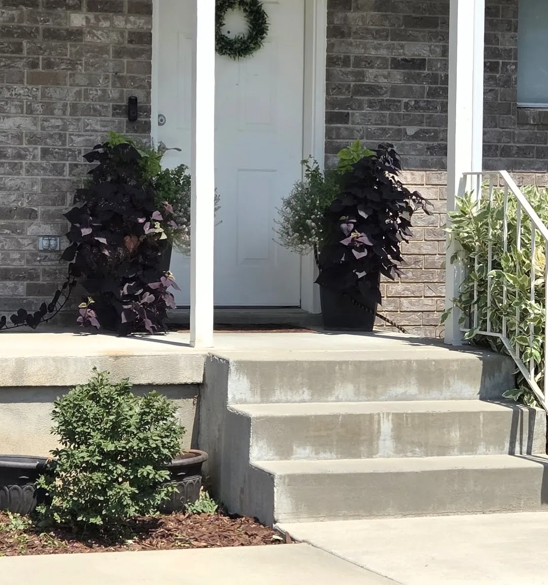 2 bed, 1.5 bath, 1200 sqft, $1,700 — Photo 2