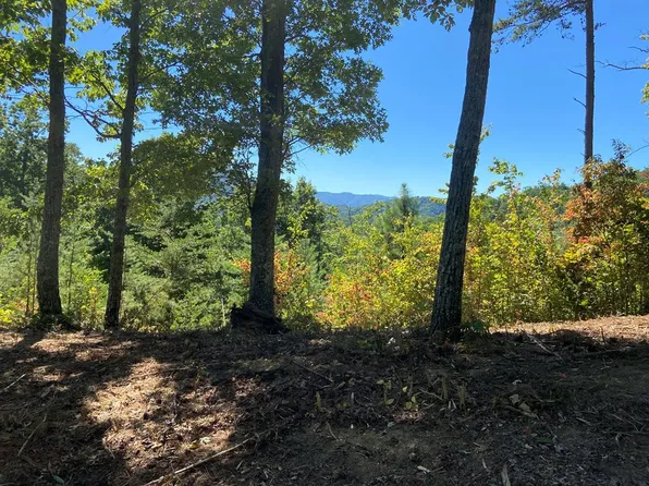 Longhunter 65 66 67 Ln, Sevierville, TN 37862