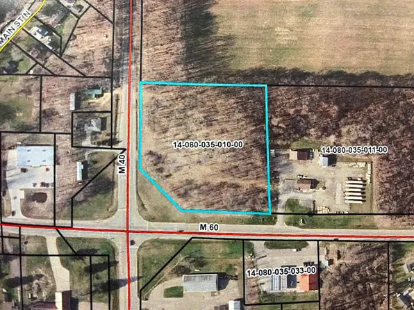 M 60, Jones, MI 49061